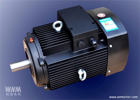 皖南電機(jī)成功研發(fā)立式多級泵專用電機(jī)
