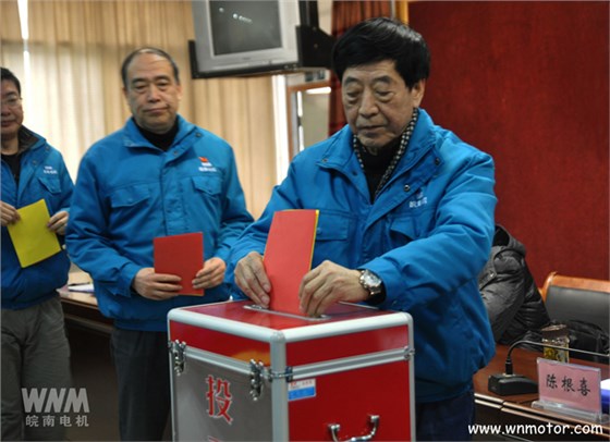 皖南電機陳根喜、管兵在投票現(xiàn)場