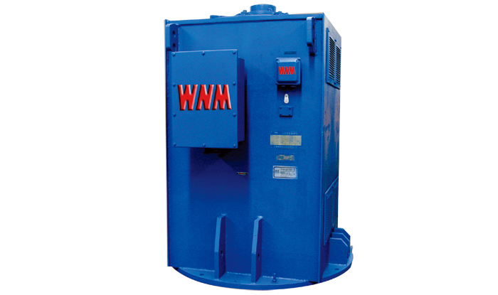 YL系列立式高壓三相交流異步電動(dòng)機(jī) YL系列立式高壓三相交流異步電動(dòng)機(jī)