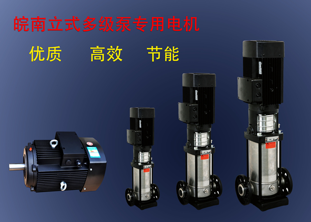 皖南多級(jí)泵專用電機(jī) 皖南多級(jí)泵專用電機(jī)